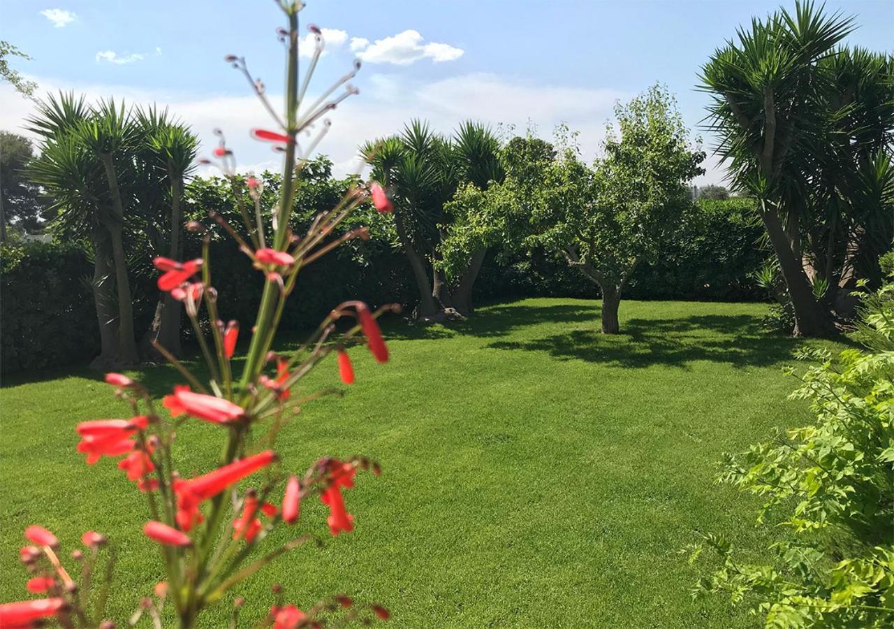 Antica Casina B&B Di Charme ปุลซาโน ภายนอก รูปภาพ