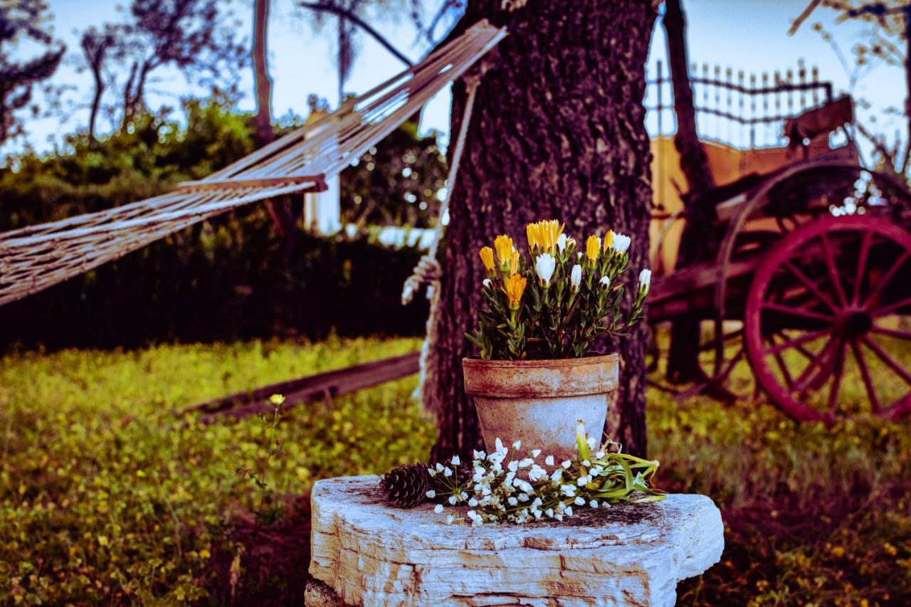 Antica Casina B&B Di Charme ปุลซาโน ภายนอก รูปภาพ