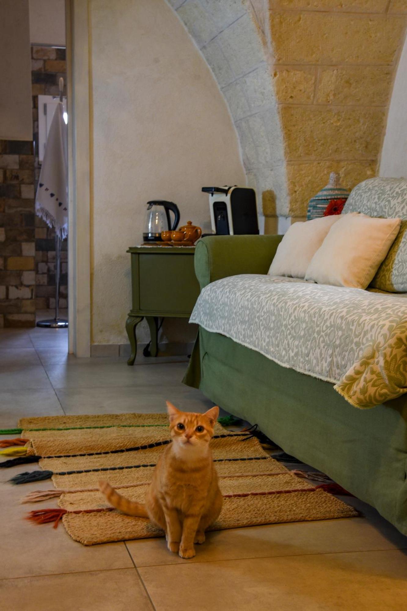 Antica Casina B&B Di Charme ปุลซาโน ภายนอก รูปภาพ