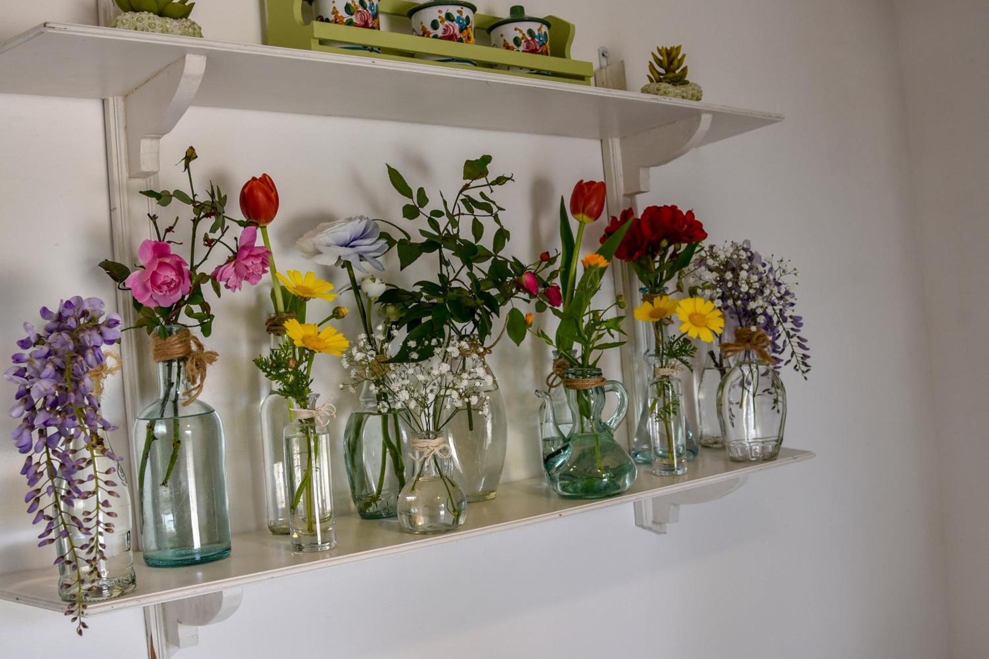 Antica Casina B&B Di Charme ปุลซาโน ภายนอก รูปภาพ
