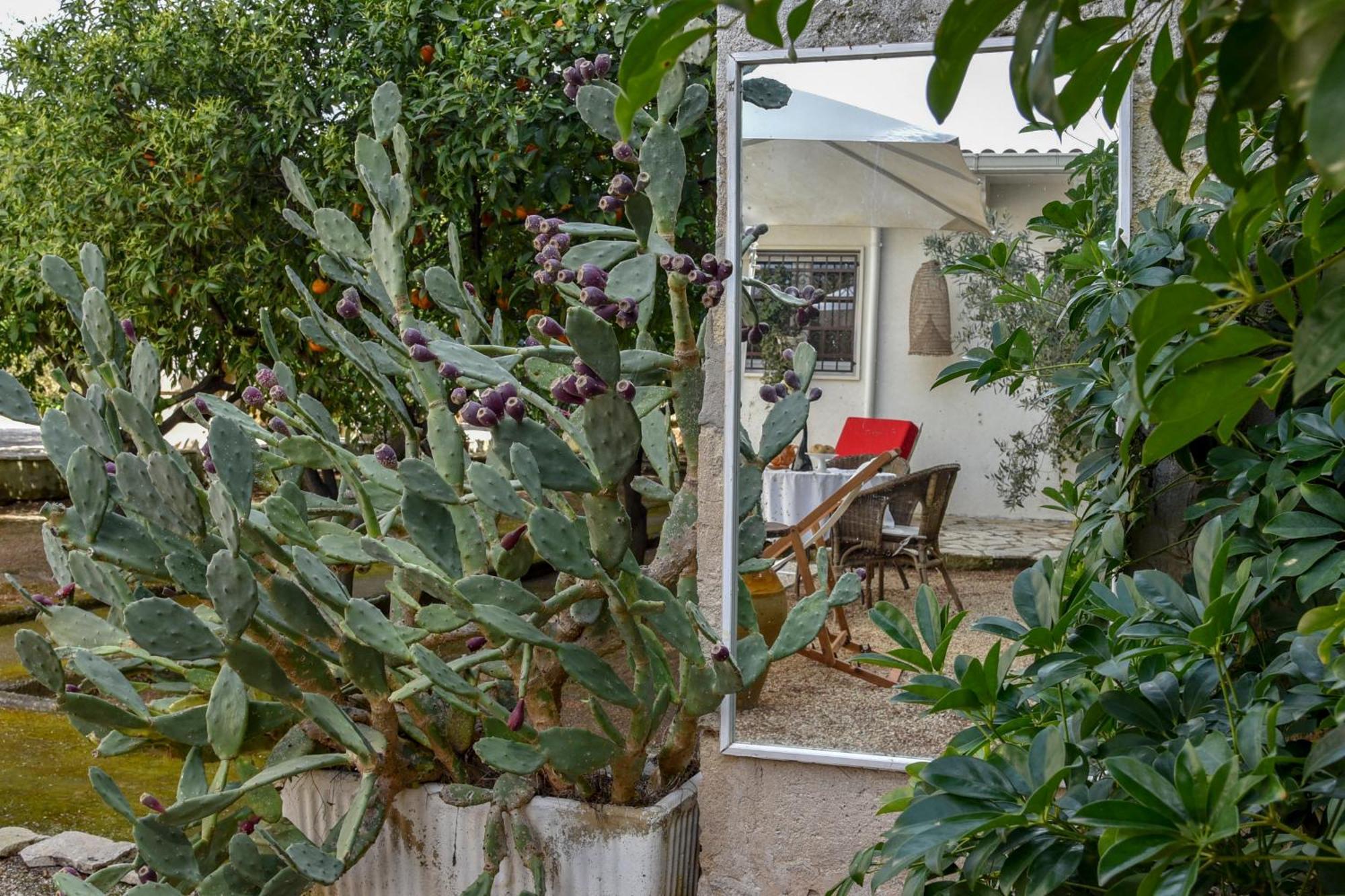 Antica Casina B&B Di Charme ปุลซาโน ภายนอก รูปภาพ